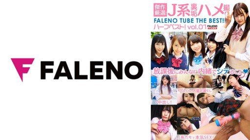 406FTHT-150 Masterpiece carefully selected! J System Back Dirt Gonzo FALENO TUBE Half Best! vol.01