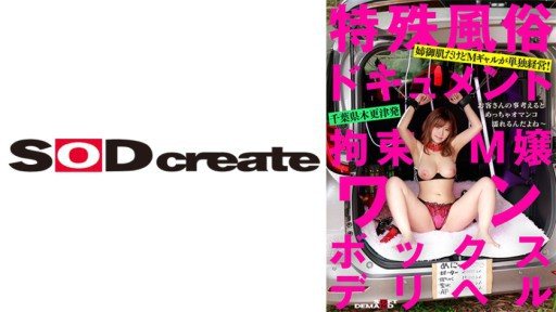 107SDHS-038 Restraint Masochist One Box Delivery Health Rika Tsubaki
