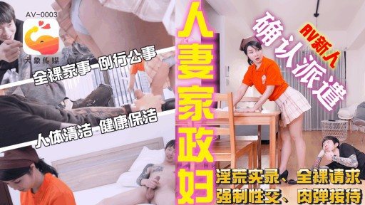 AV-0003 Housewife